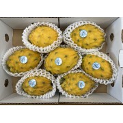 厄瓜多爾麒麟果（2個）